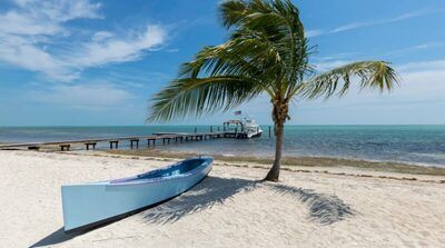 Your Ultimate Guide to Renting the Perfect Florida Vacation Home